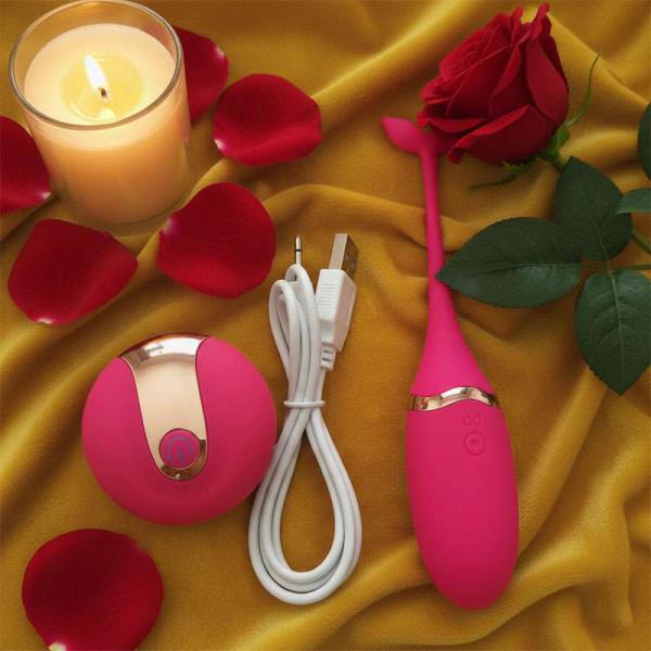 Trứng rung mini sạc pin Private - Hình cá heo vừa xinh lại khéo