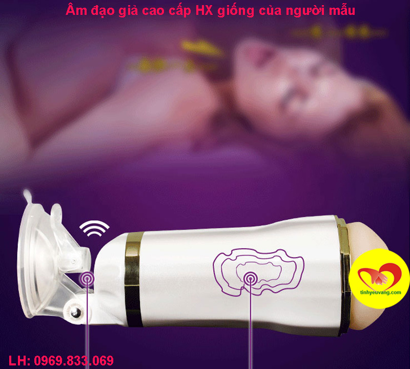 2-am-dao-gia-cao-cap-hx-giong-cua-nguoi-mau-tinh-yeu-vang