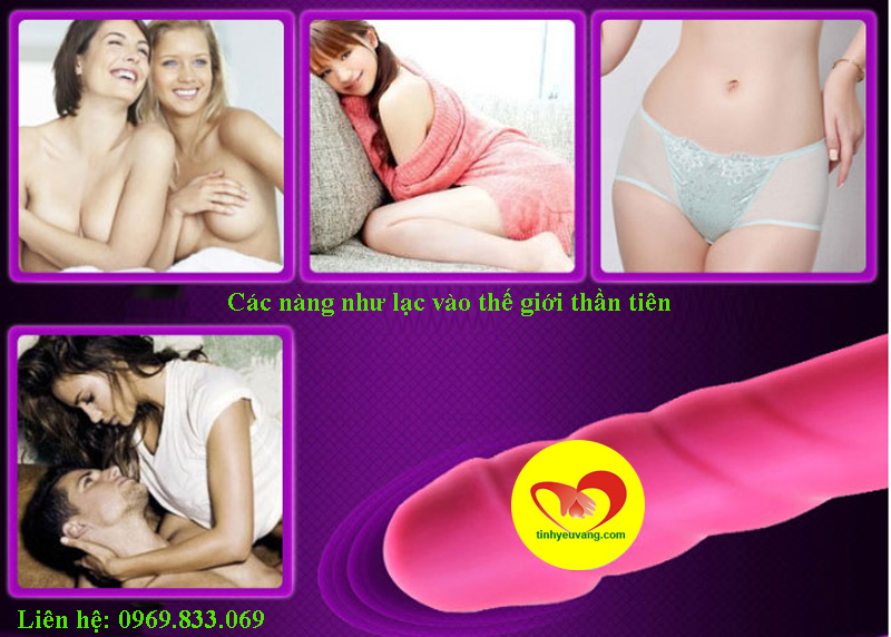 4-duong-vat-gia-rung-cbangneng-tinhyeuvang