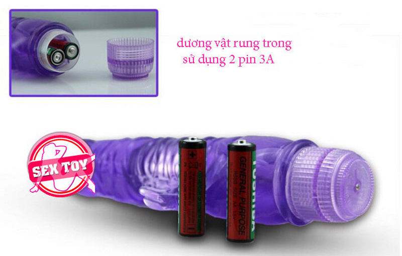 duong-vat-2-pin-rung-trong-suot-4