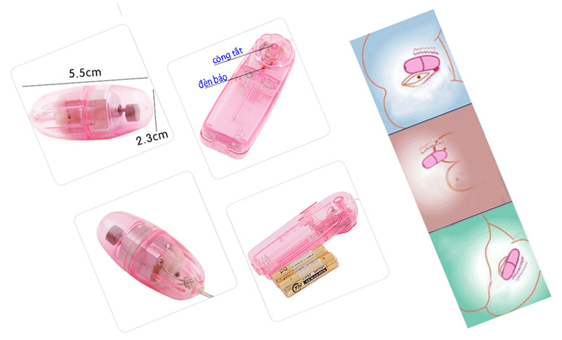 trung-rung-1-dau-trong-suot-4