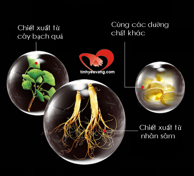 gel-boi-tang-cuong-sinh-ly-va-tang-kich-thuoc-piur-xtend