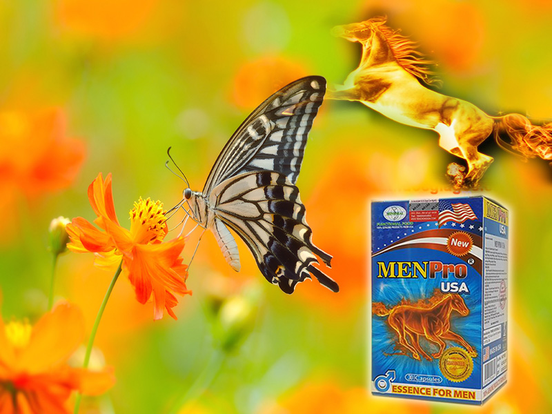 2-thuoc-cuong-duong-chong-xuat-tinh-som-menpro